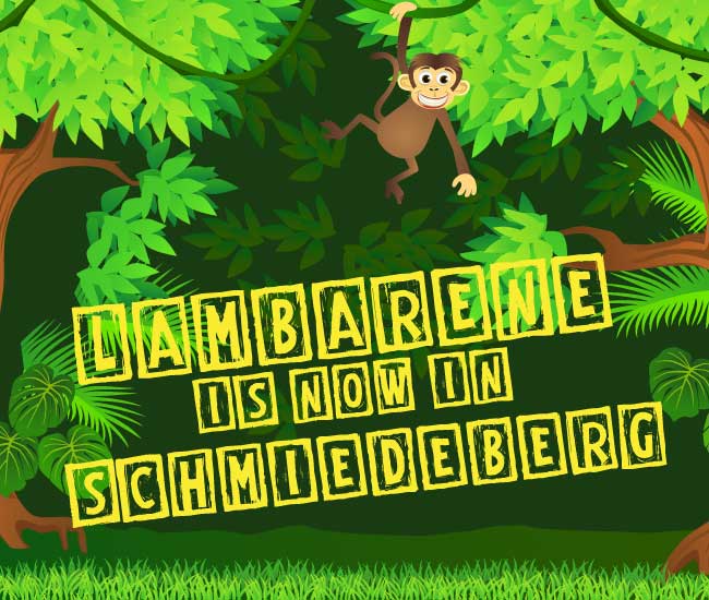 Lambarene ist in Schmiedeberg
